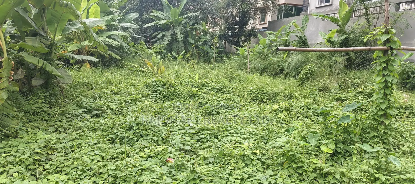 M Block, 5 Katha Plot for Sale in Bashundhara, Baridhara. in Basundhara