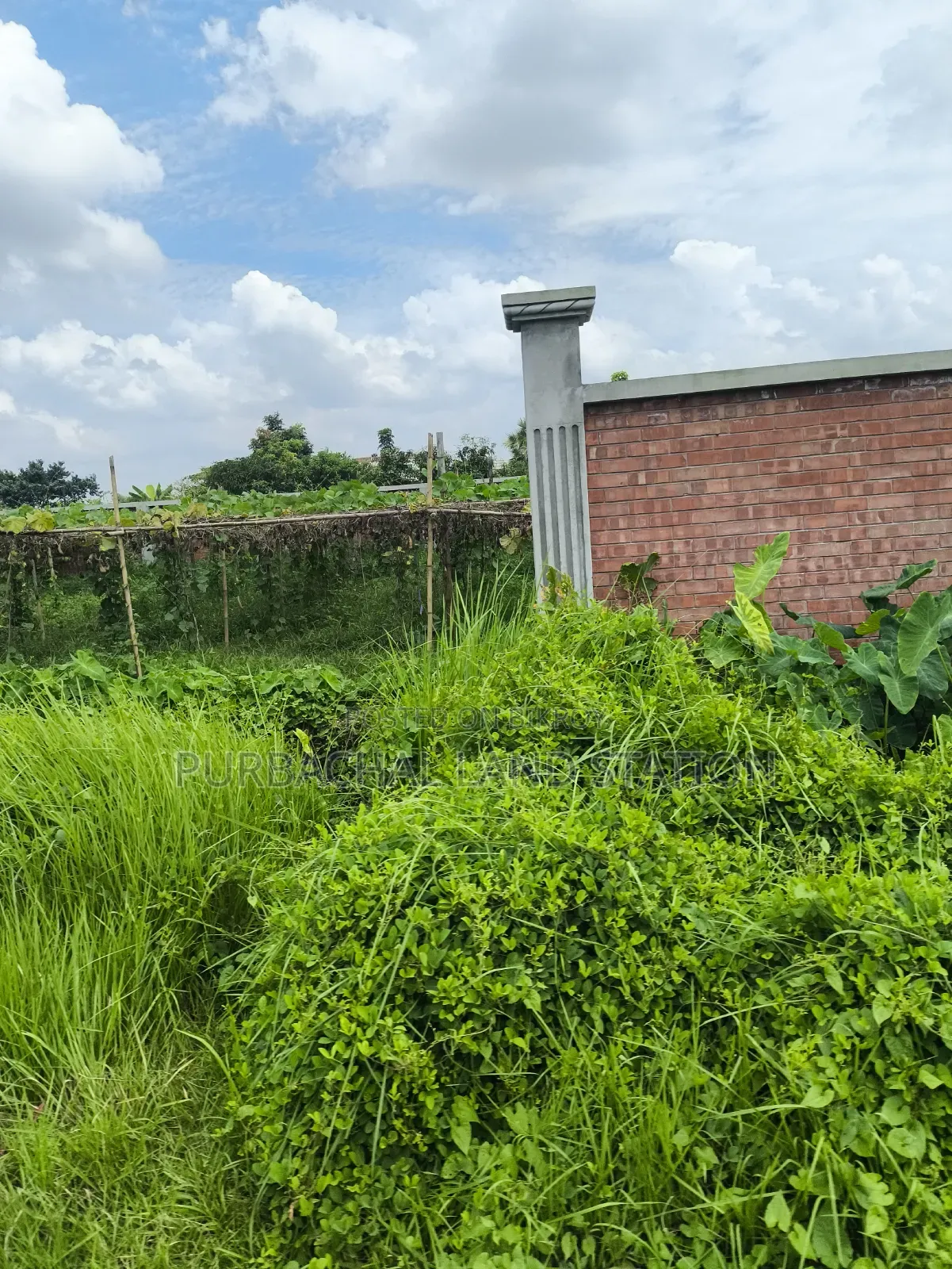 Sector: 24, Park and Lake View 10 Katha Plot Sale in Purbachal in Purbachal