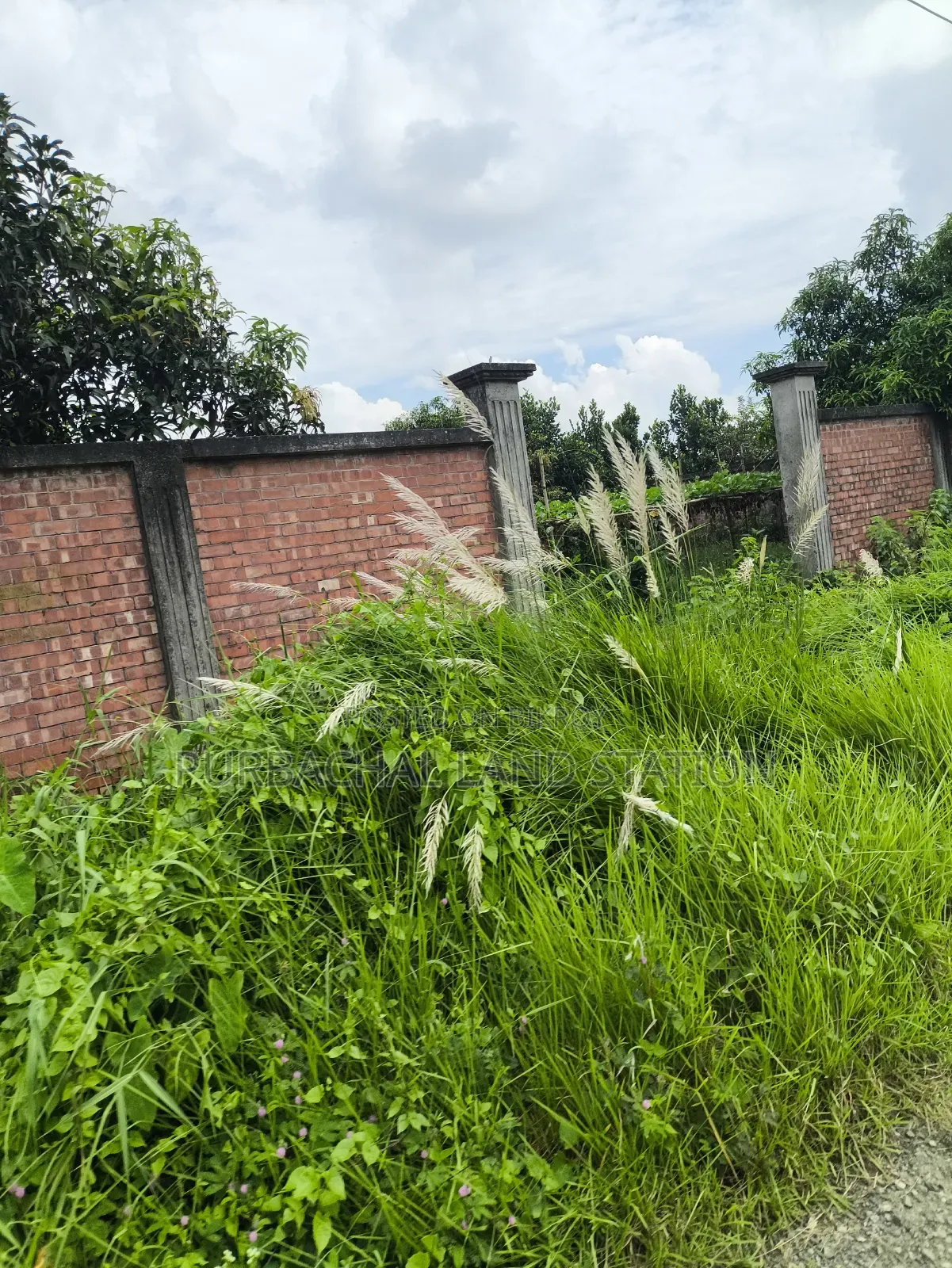 Sector: 24, Park and Lake View 10 Katha Plot Sale in Purbachal in Purbachal