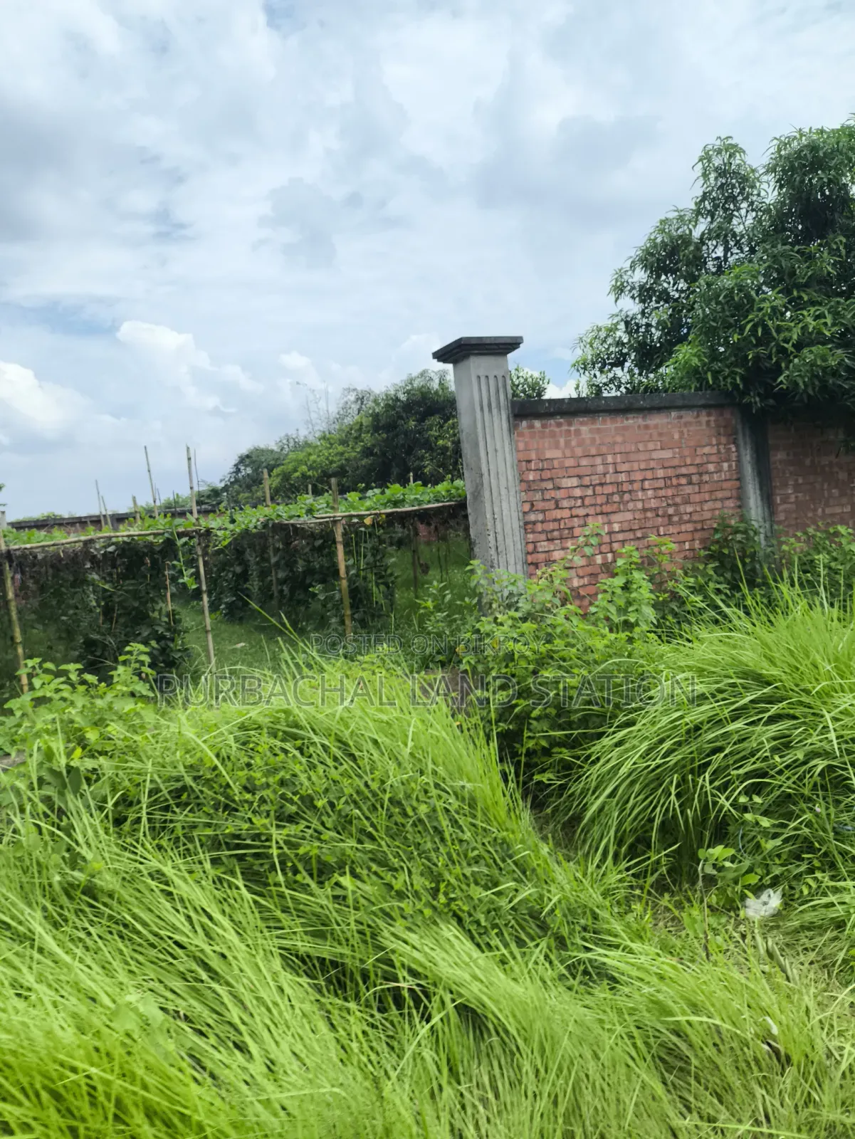 Sector: 24, Park and Lake View 10 Katha Plot Sale in Purbachal in Purbachal