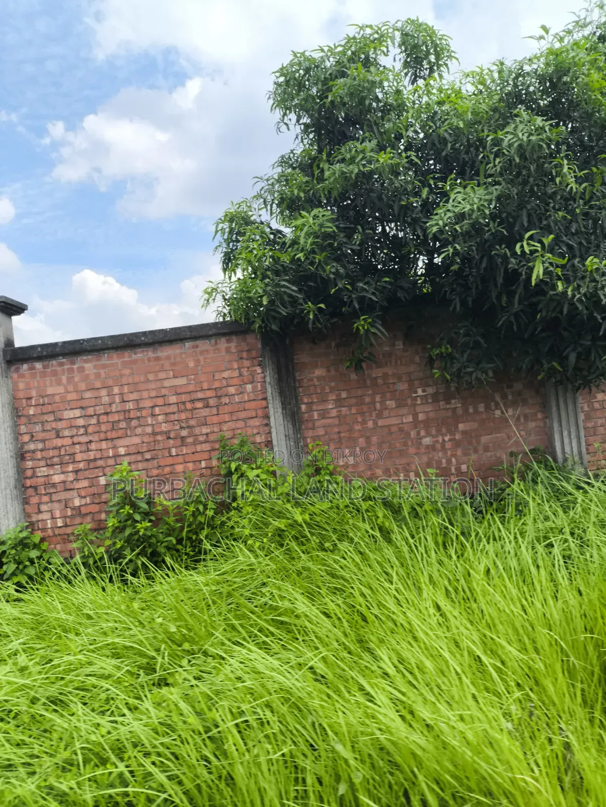 Sector: 24, Park and Lake View 10 Katha Plot Sale in Purbachal in Purbachal