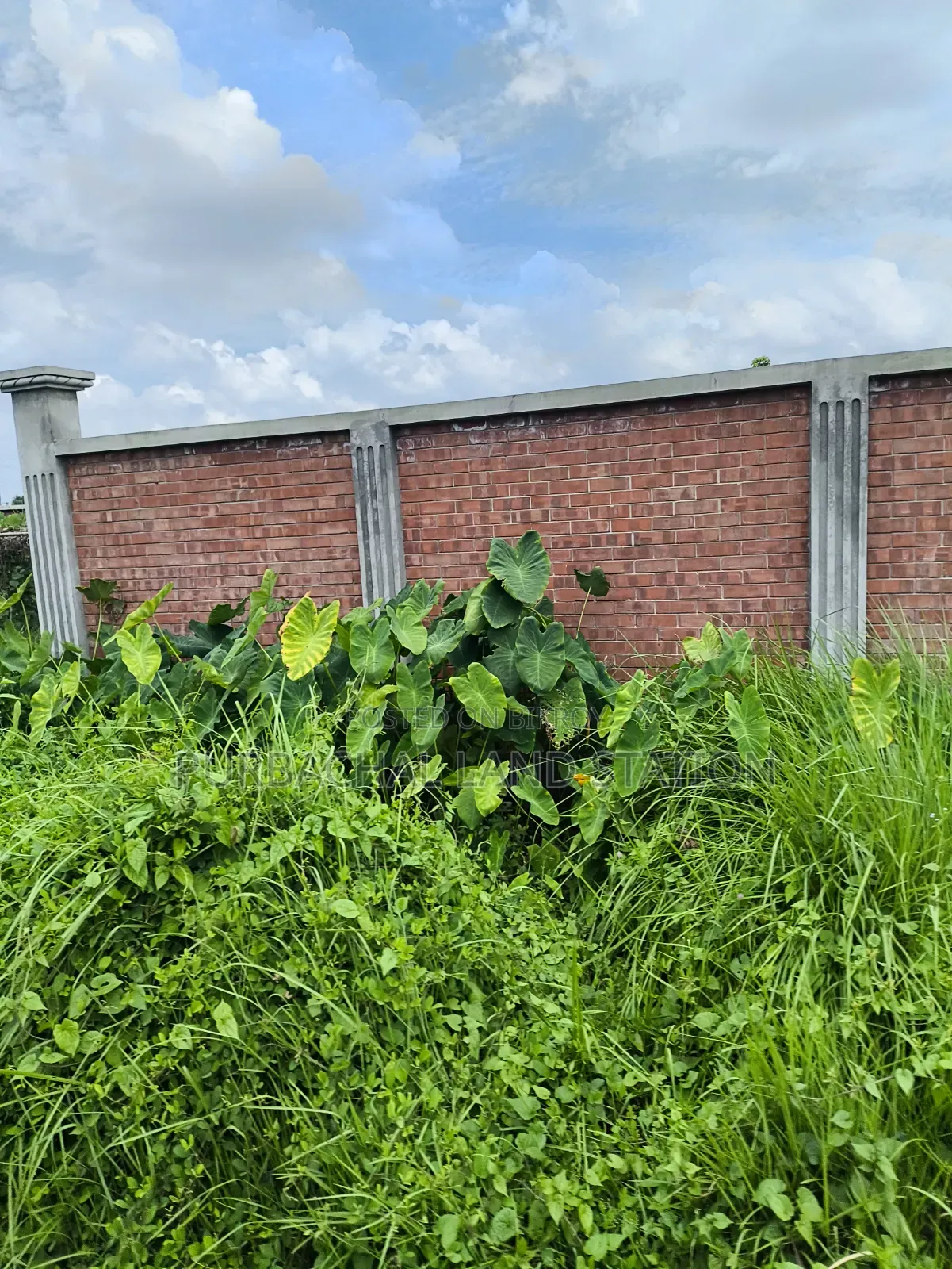 Sector: 24, Park and Lake View 10 Katha Plot Sale in Purbachal in Purbachal