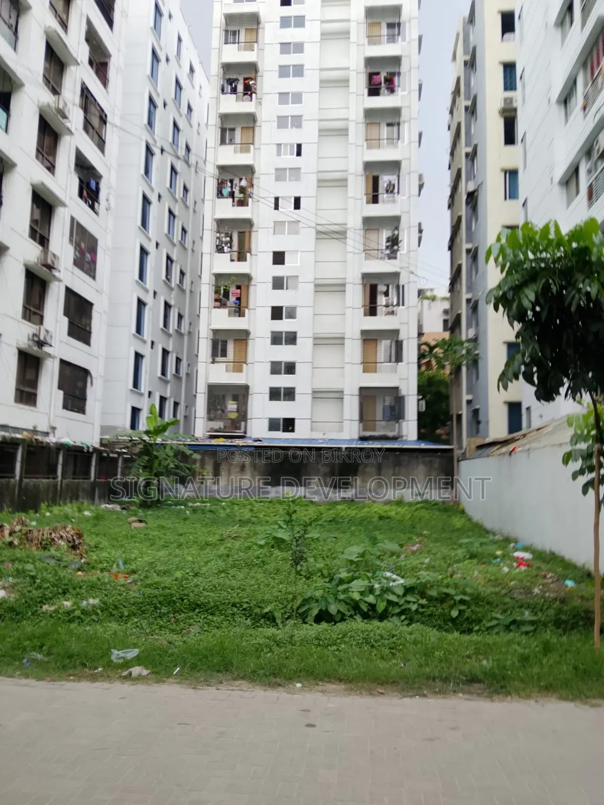 L-Block//3 Katha// 1st Part//Plot Sale in Bashundhdra R/A in Basundhara