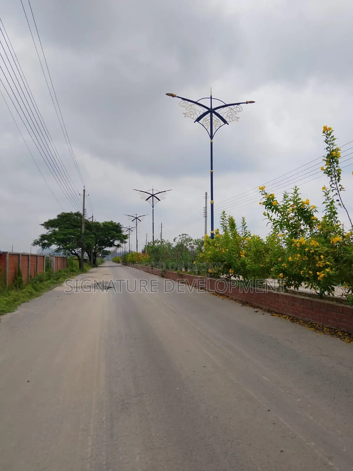 Block: I-Extension//3+3=6 Katha//Southface//Plot Sale in Bashundhara in Basundhara