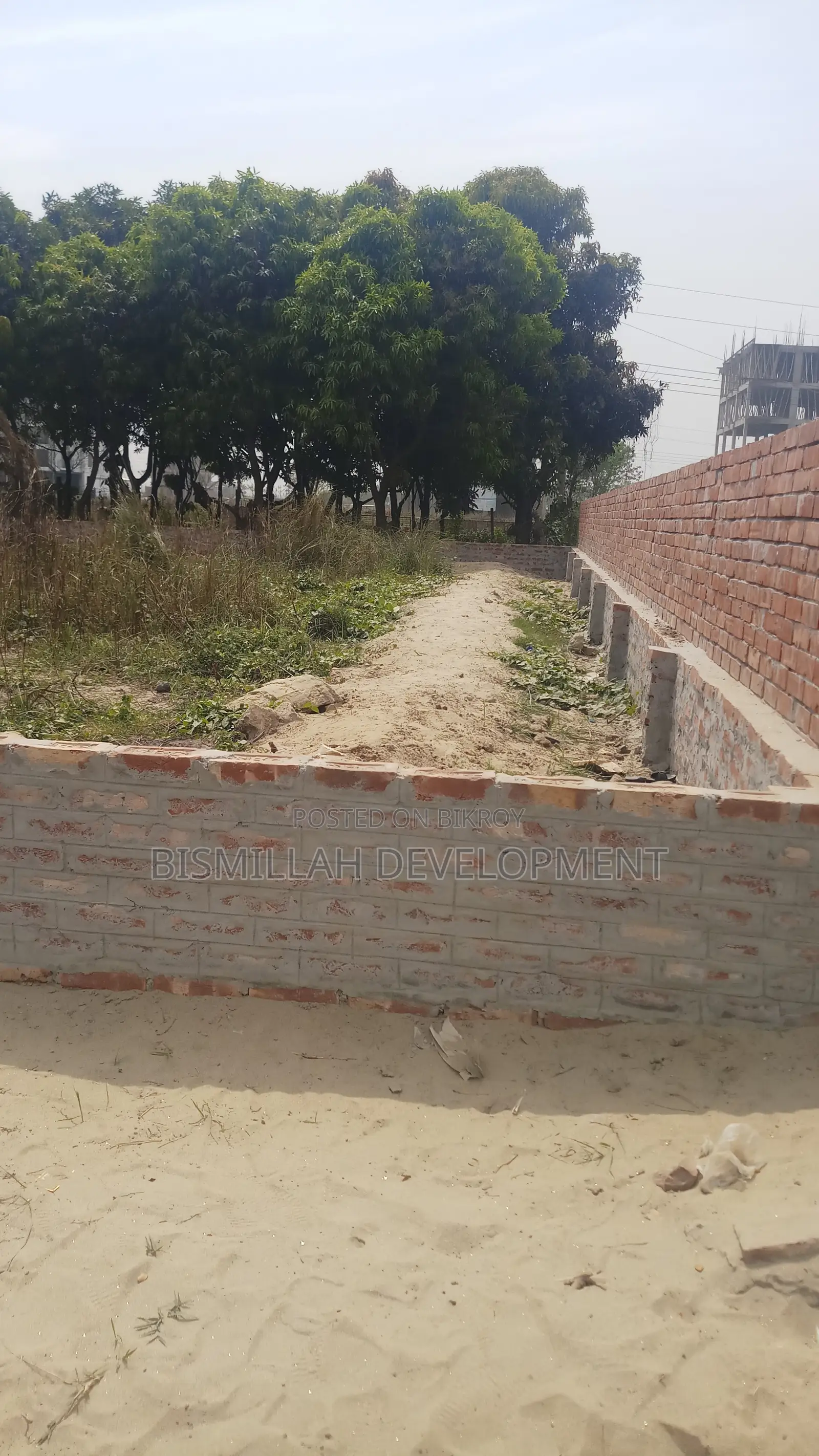 3 Katha Land Sale P-Block With Boundary at Bashundhara in Basundhara