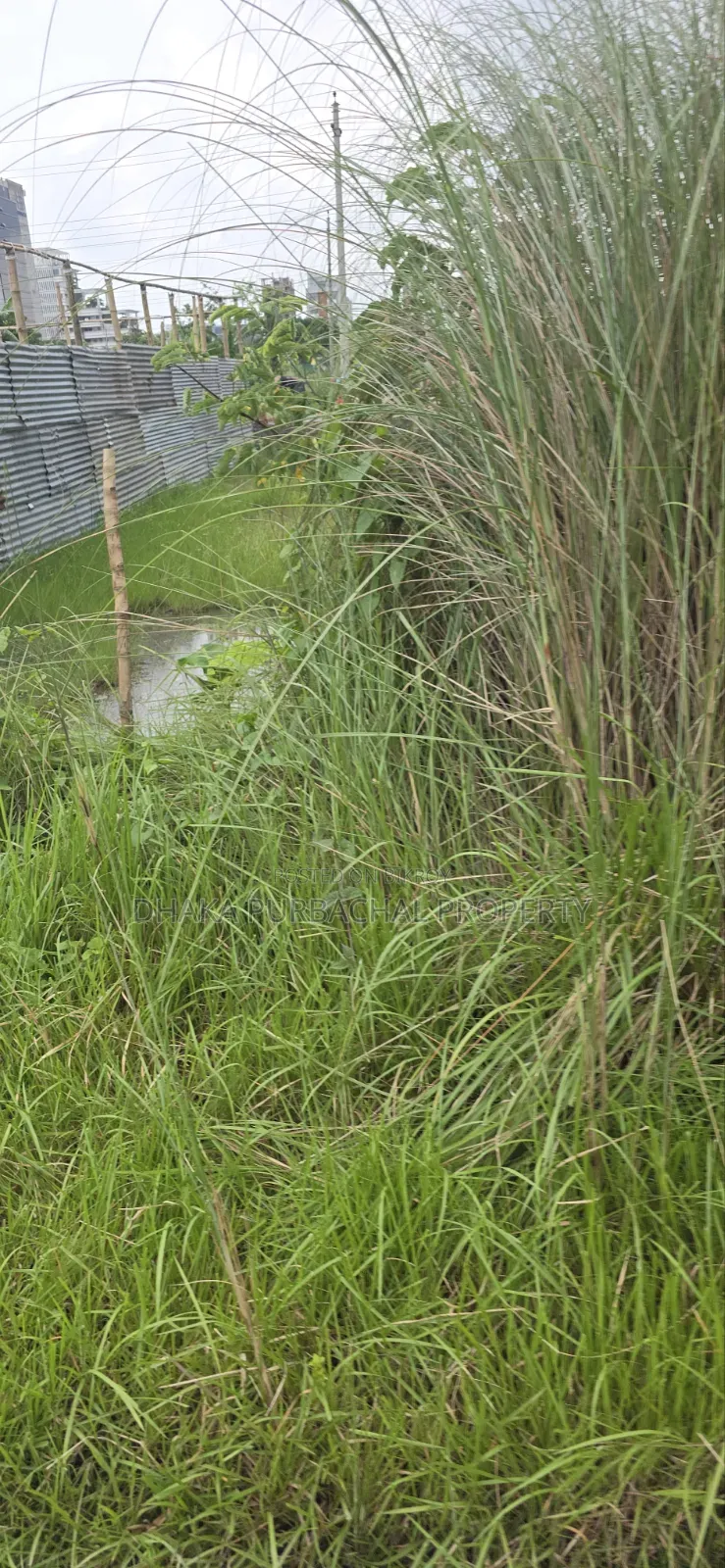 Bashundhara R/A, Block-N, 20 Katha Plot for Sale in Basundhara