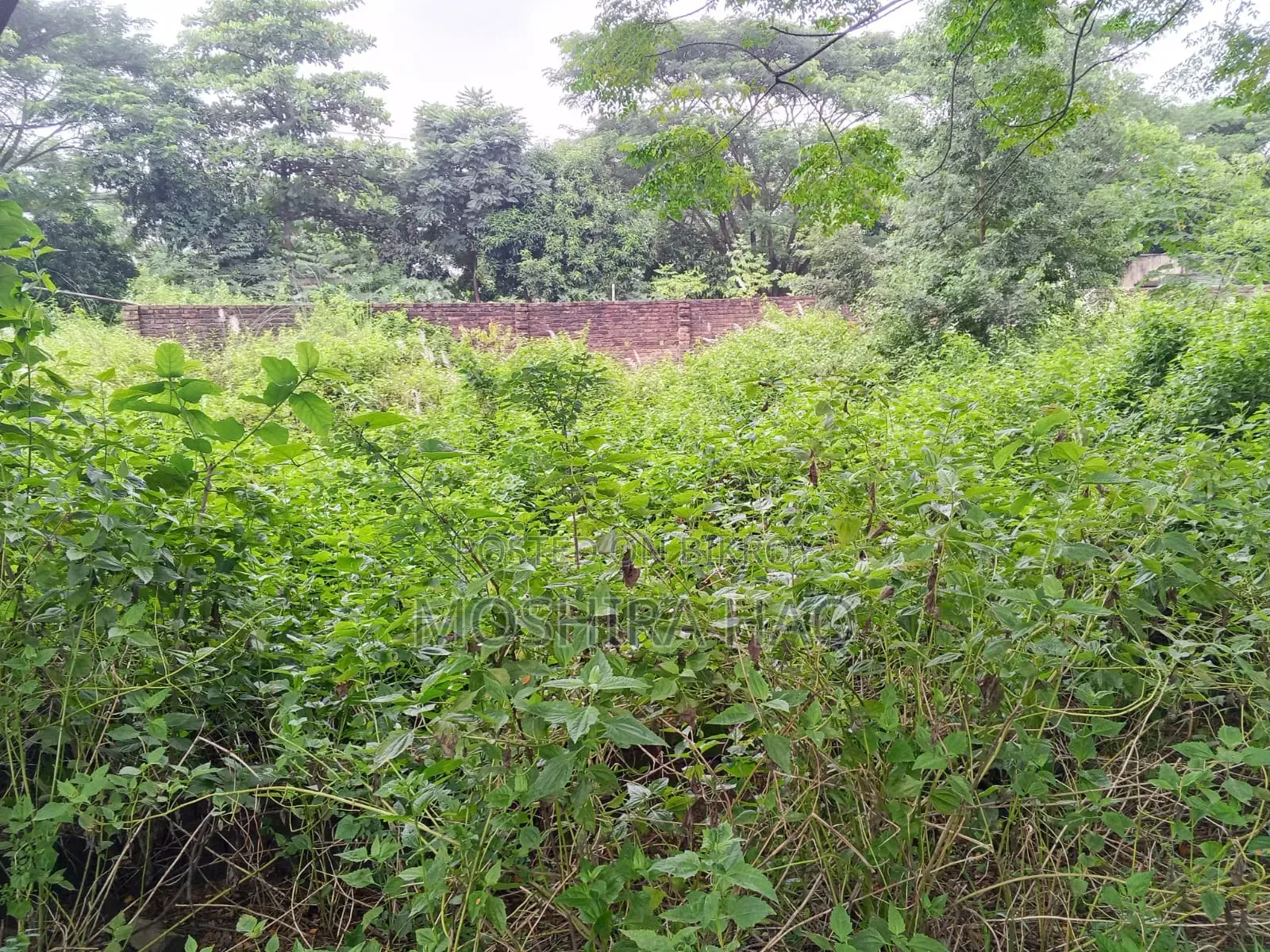Silicon City Boroborodeshi in Savar
