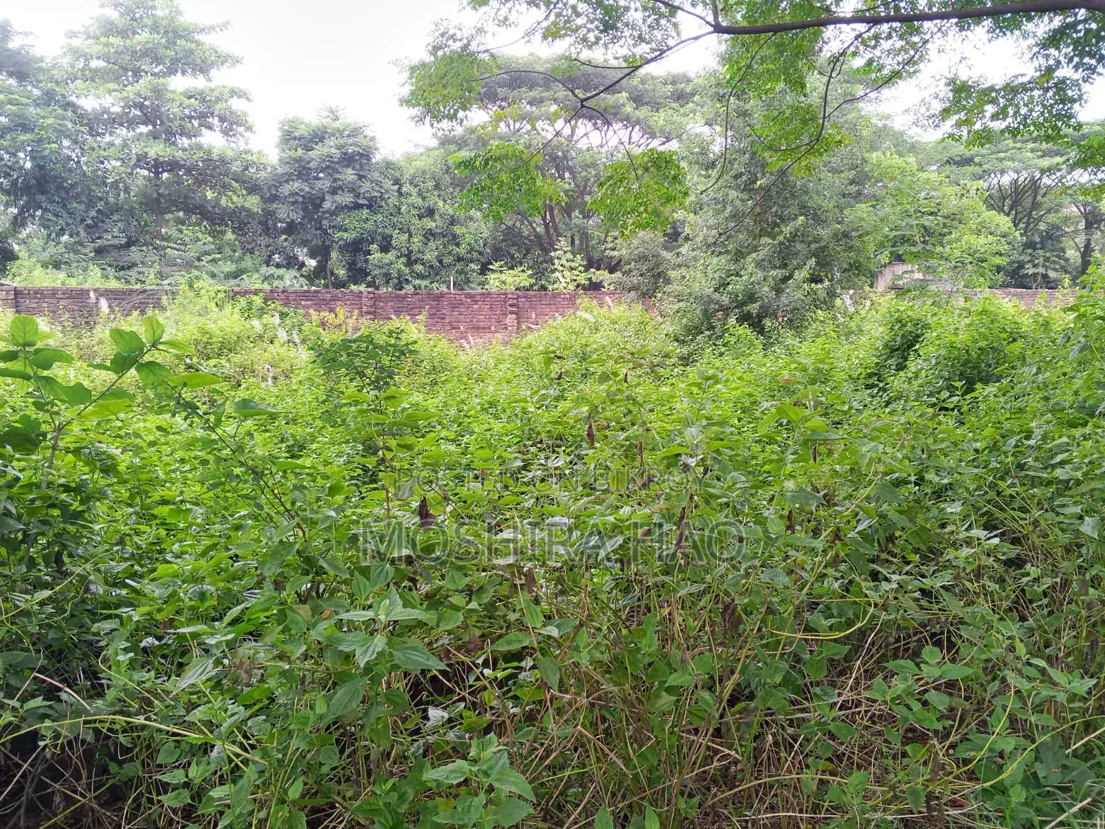Silicon City Boroborodeshi in Savar