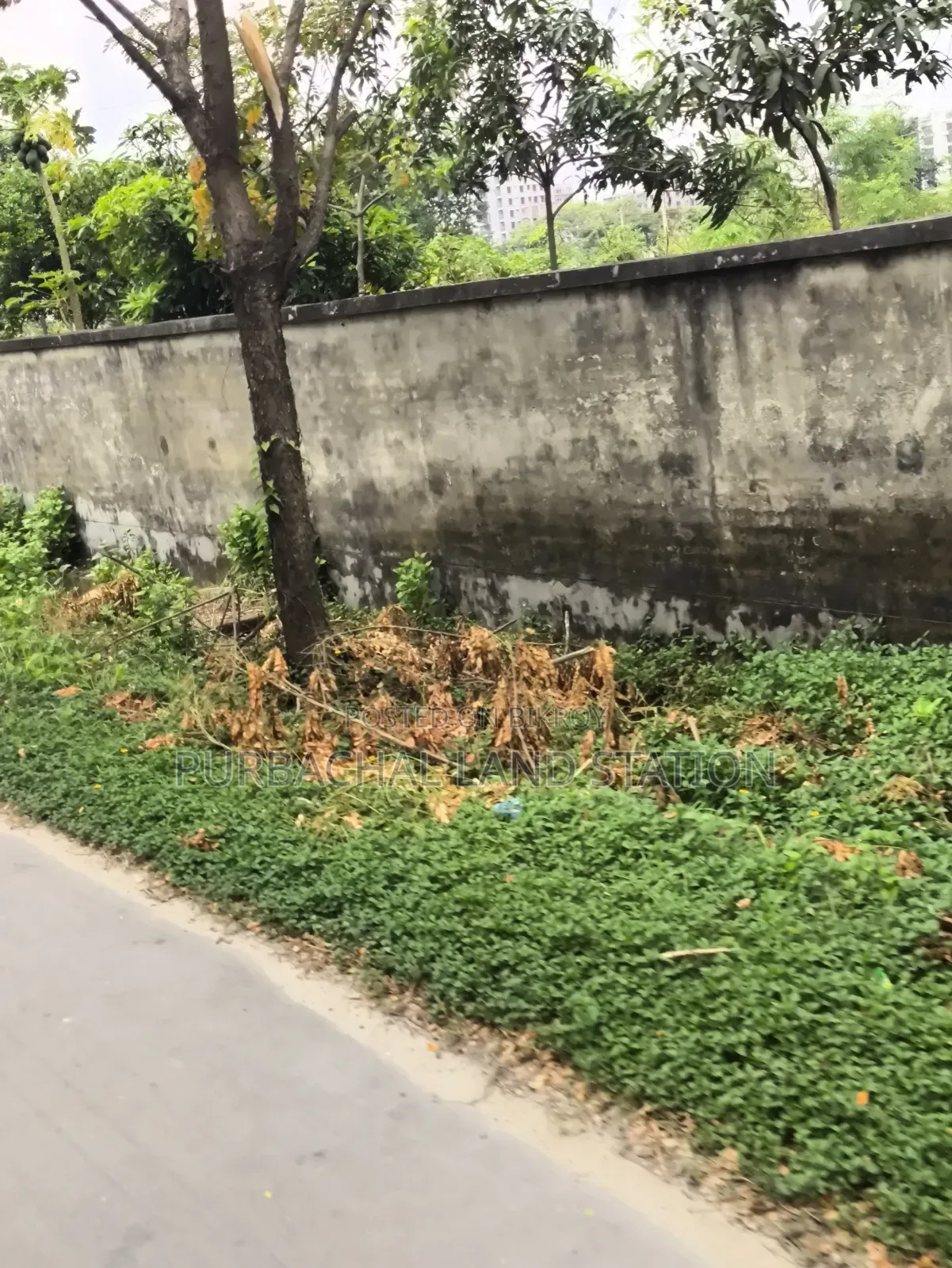 Near 300 Fit Road Urgent 5 Katha Plot Sale in Sector: 11, Purbachal in Purbachal