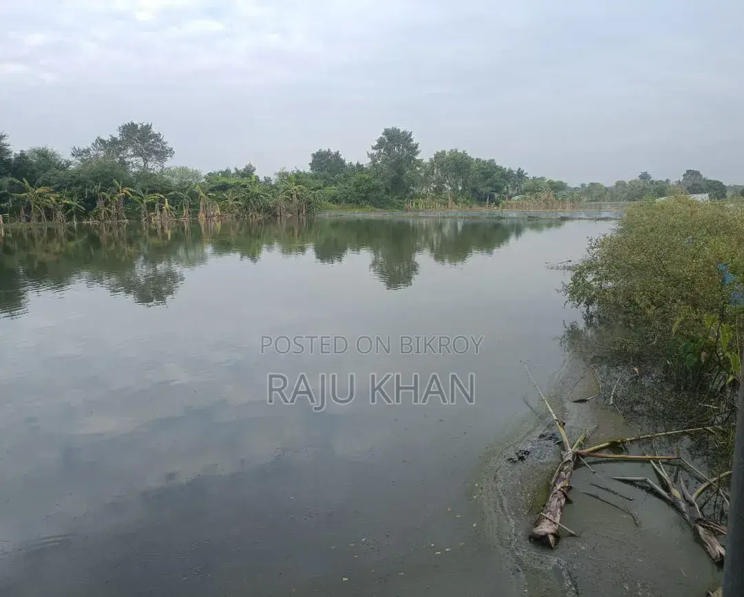 50 decimals of land for sale beside Bishoroad. in Khulna Sadar