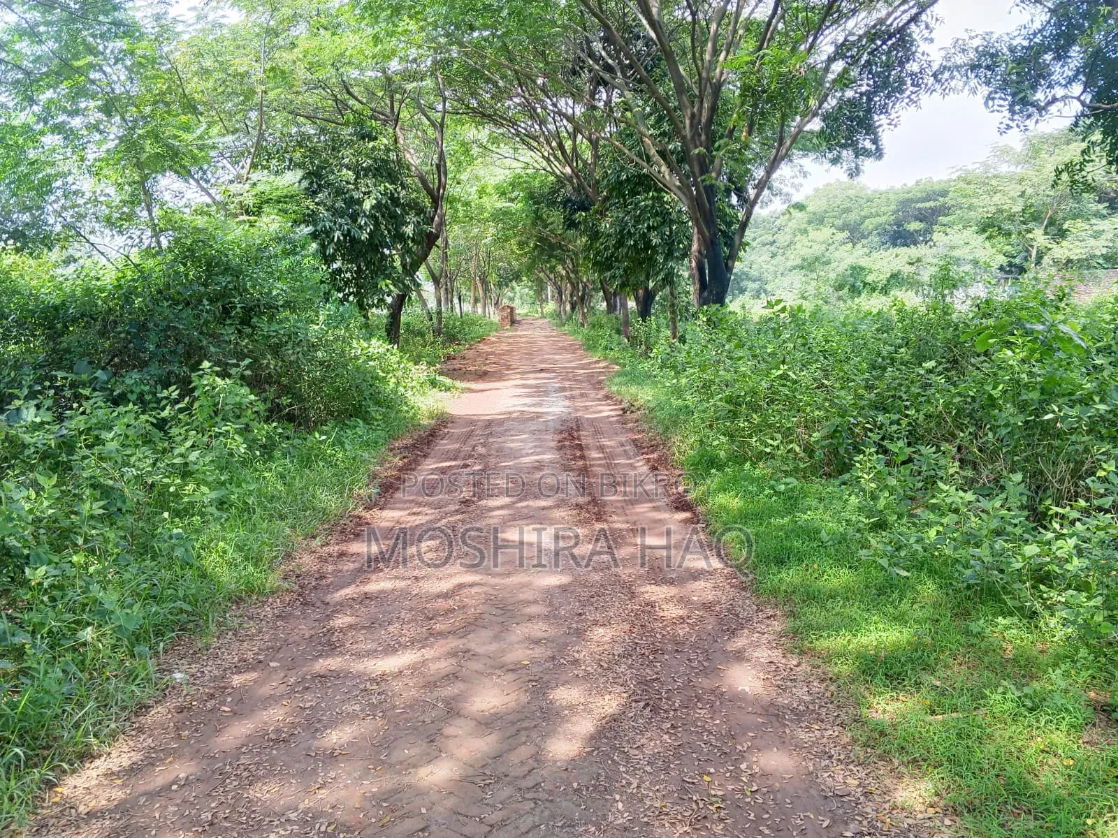 Silicon City Boroborodeshi in Savar