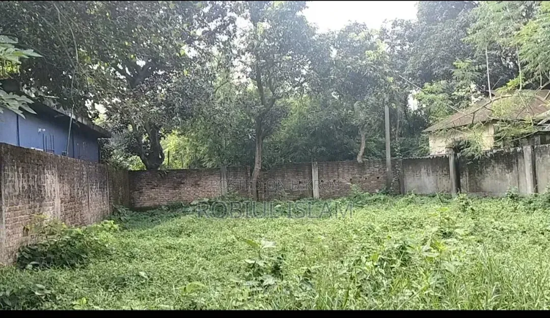 Land for sale. 10 Shotangsho in Sonargaon