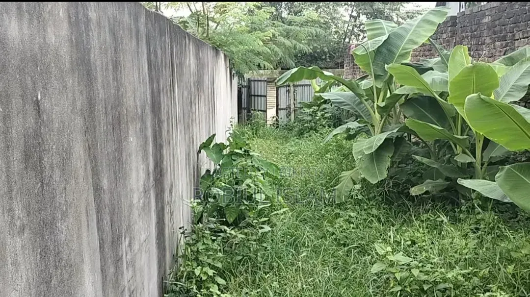 Land for sale. 10 Shotangsho in Sonargaon