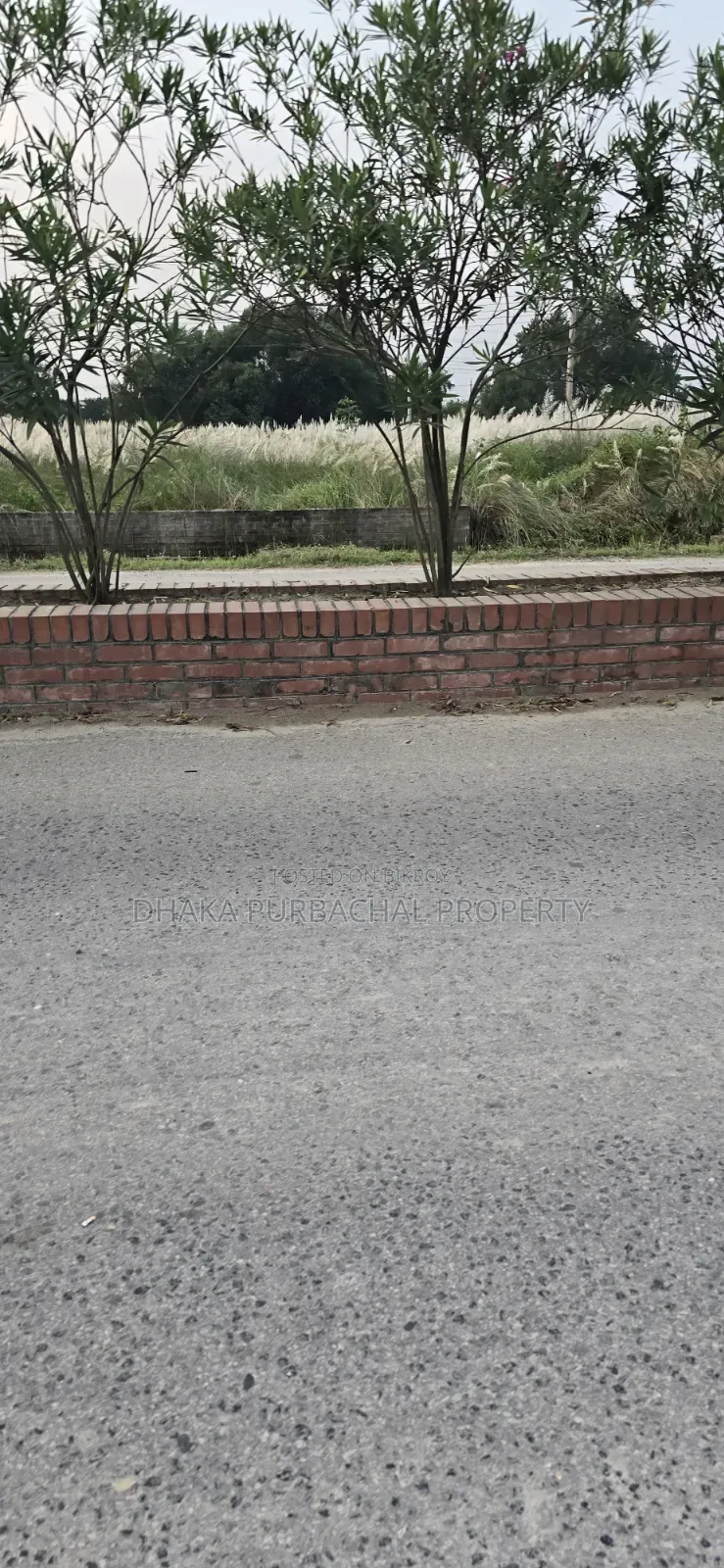 Rajuk Purbachal Sector-5 East Facing Plot in Purbachal