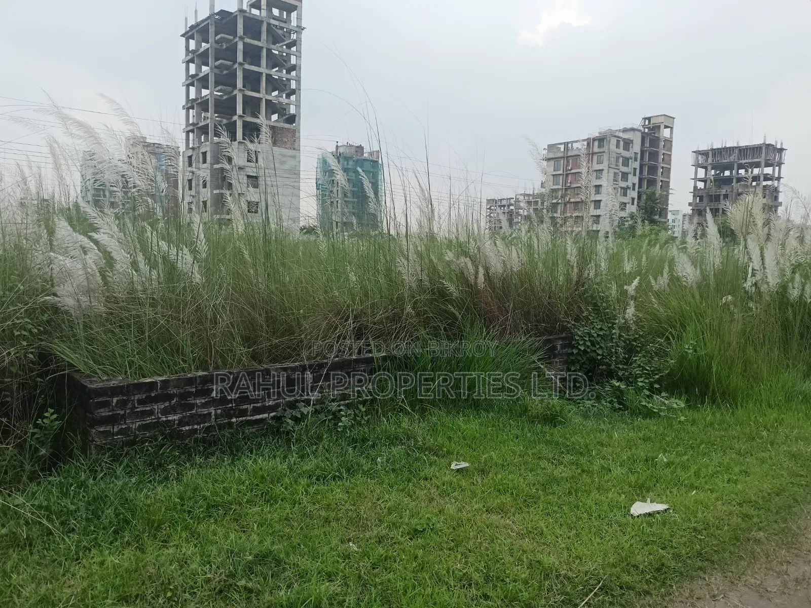 Plot Sale 3 Katha Bashundhara Block N in Basundhara
