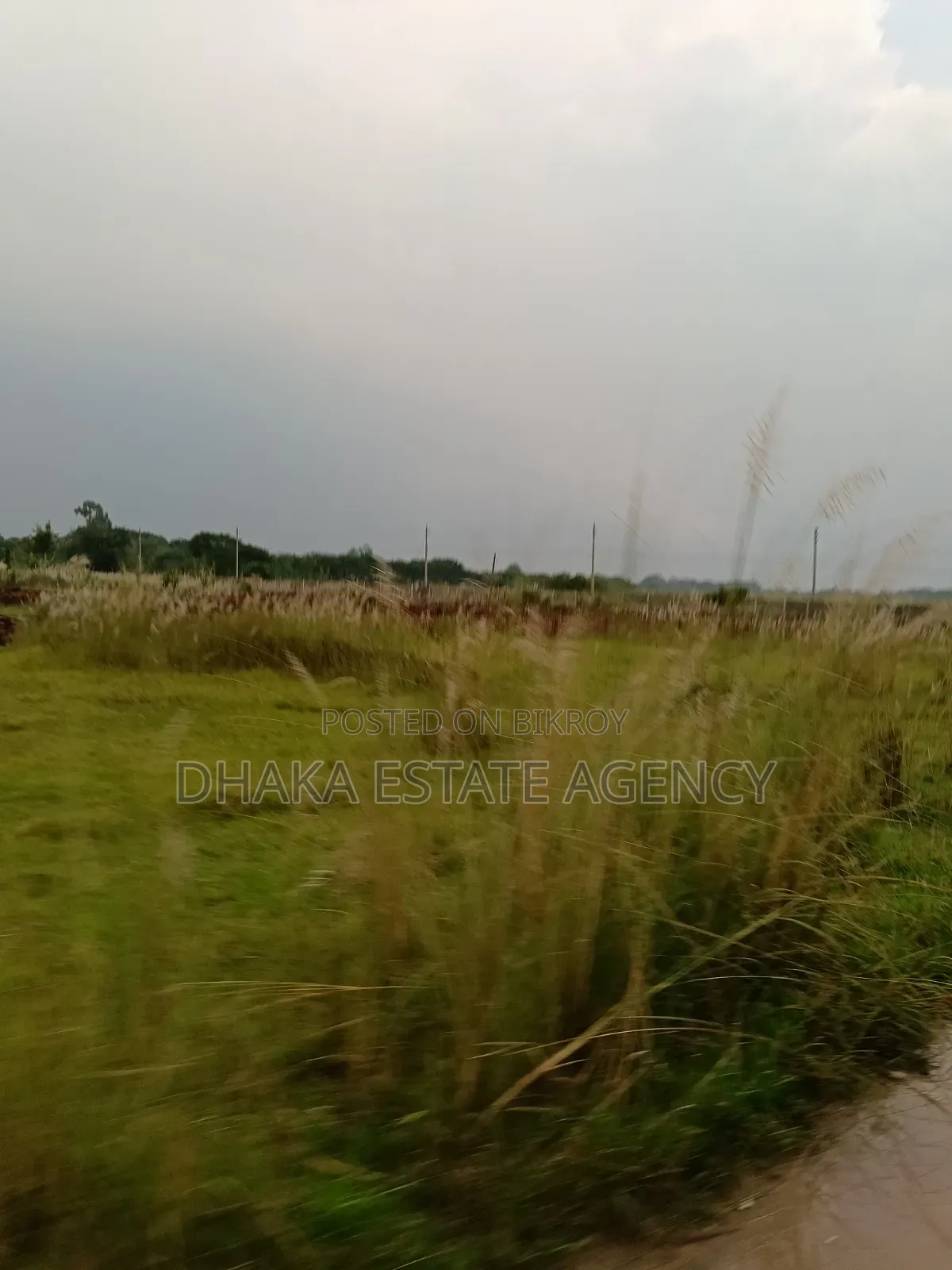 South Face 5 Katha Block-N, in Basundhara