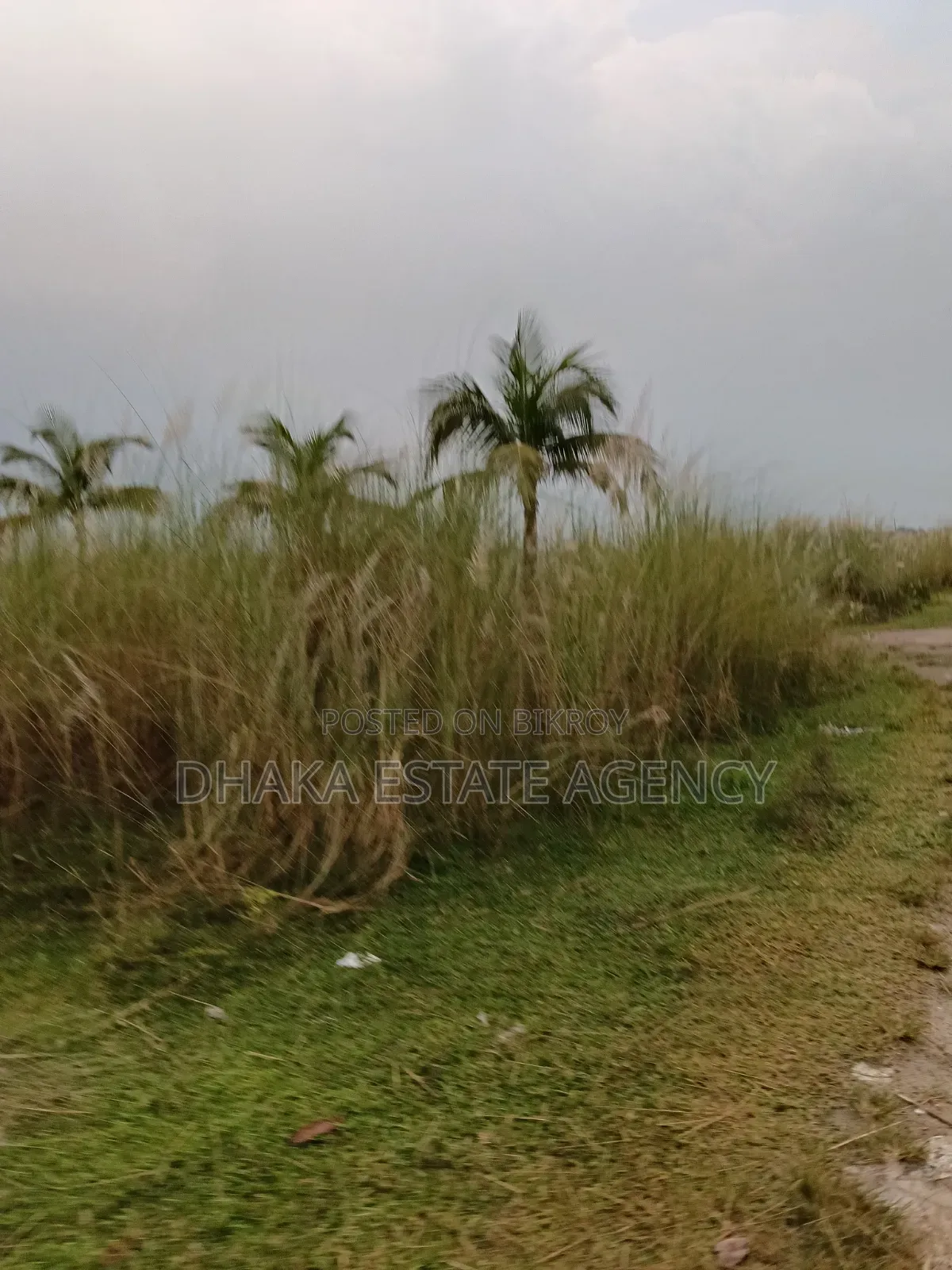 Block N, South Face 5 Katha 1200 Serial in Basundhara