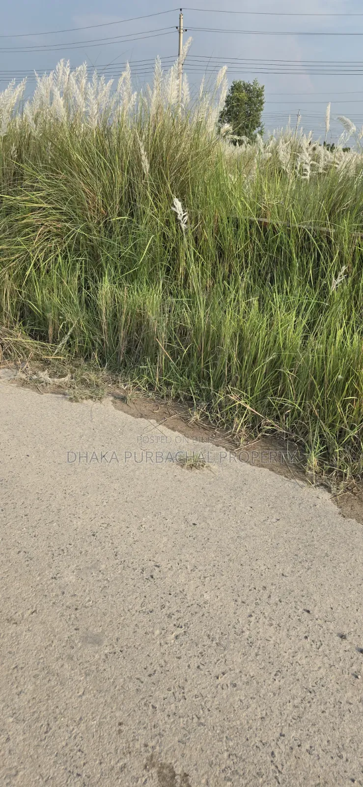 Rajuk Purbachal Sector 5 South Facing Three Katha Plot for Sale in Purbachal