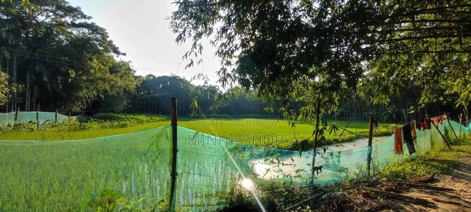 Urgent Land for Sale! in Sherpur Sadar