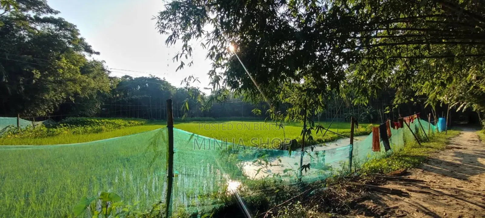 Urgent Land for Sale! in Sherpur Sadar