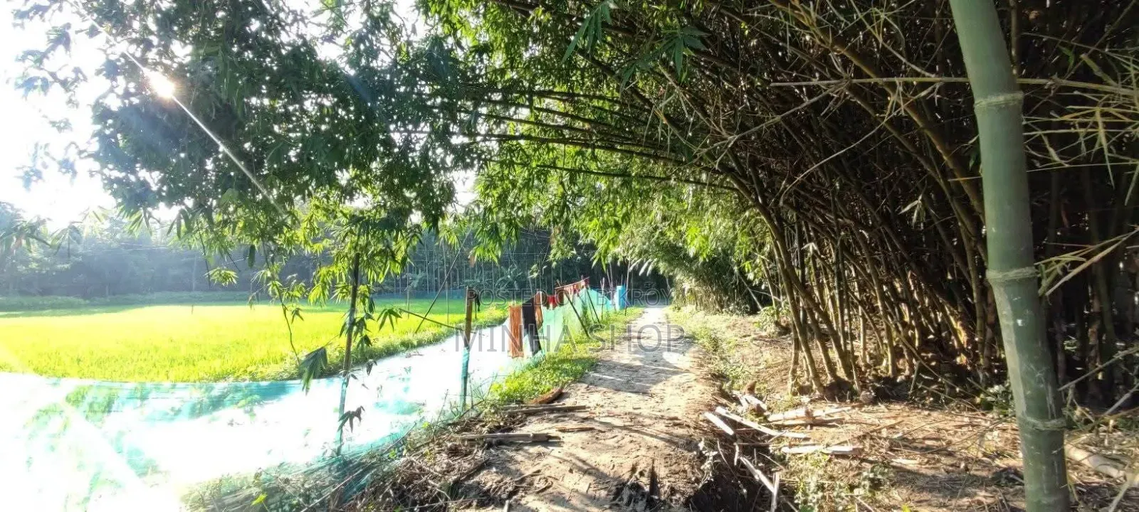 Urgent Land for Sale! in Sherpur Sadar