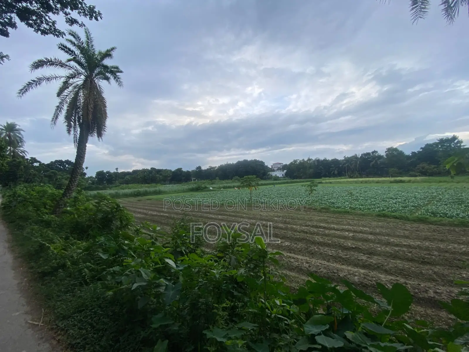 Singair, Manikganj for living or making a factory or resort. in Savar