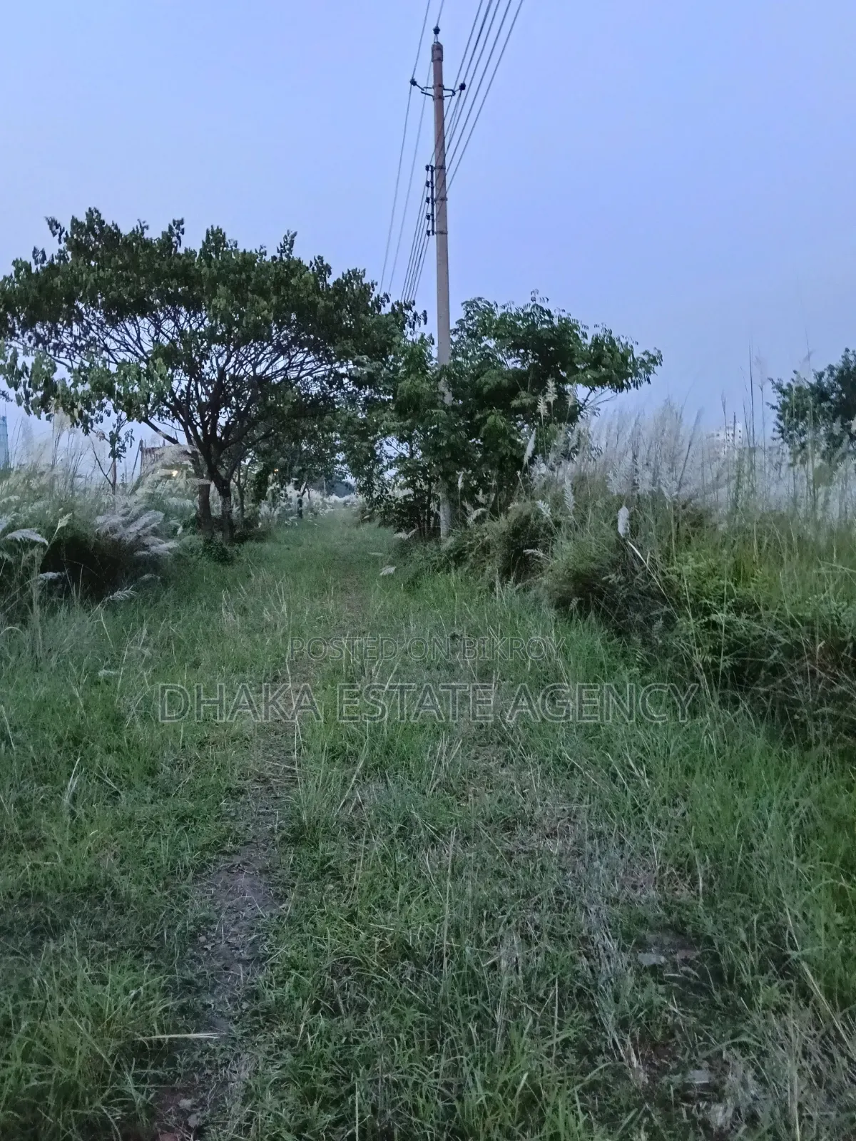 Block-N, 3+3=6 Katha South Facing Plot for Sale in Basundhara