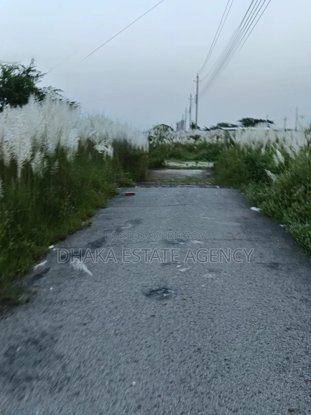 Block-P, 40/25 Feet Road Corner 5 Katha Plot Sale in Basundhara