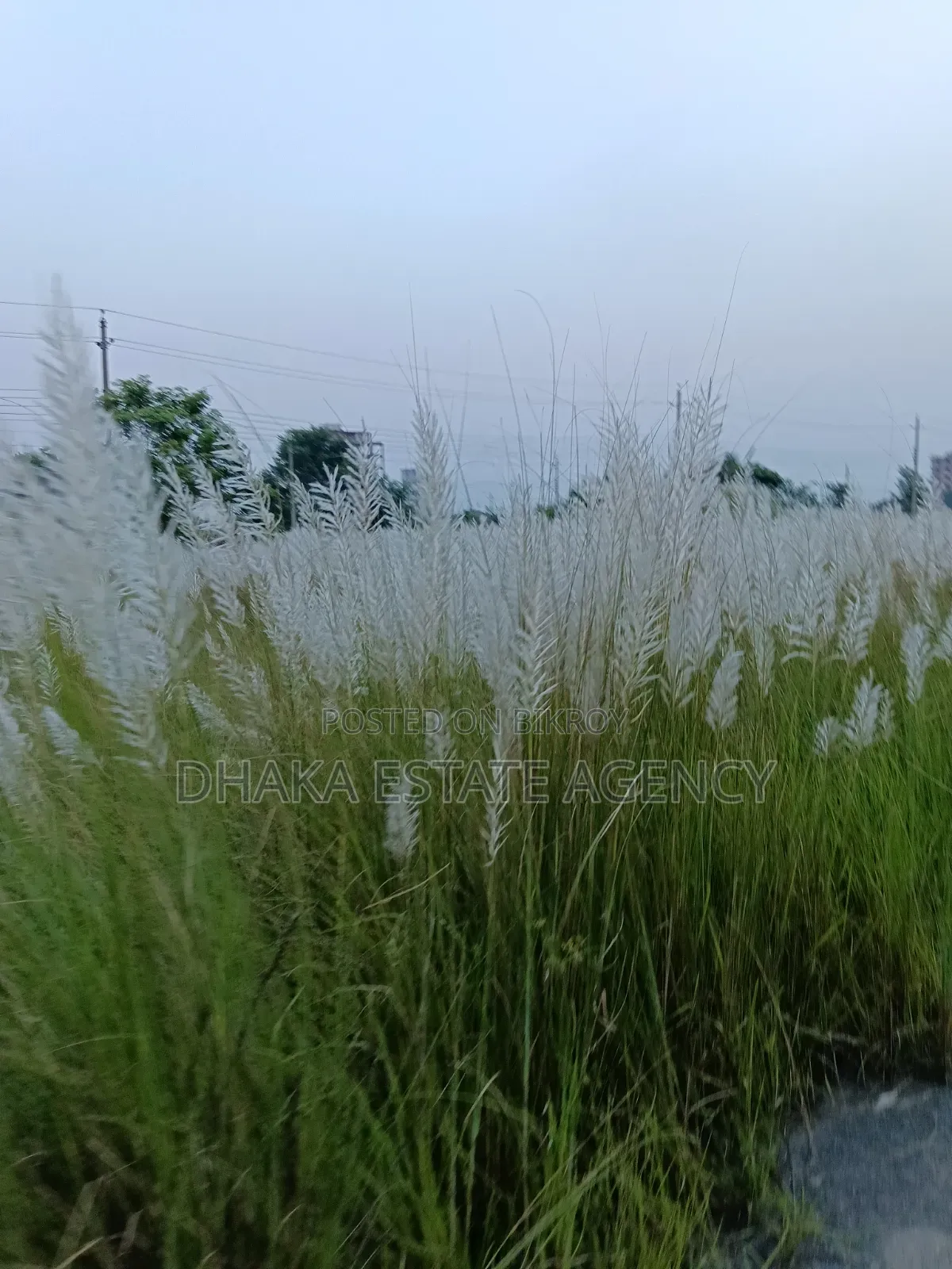 Block-P, North Face 5 Katha Plot Sale in Basundhara