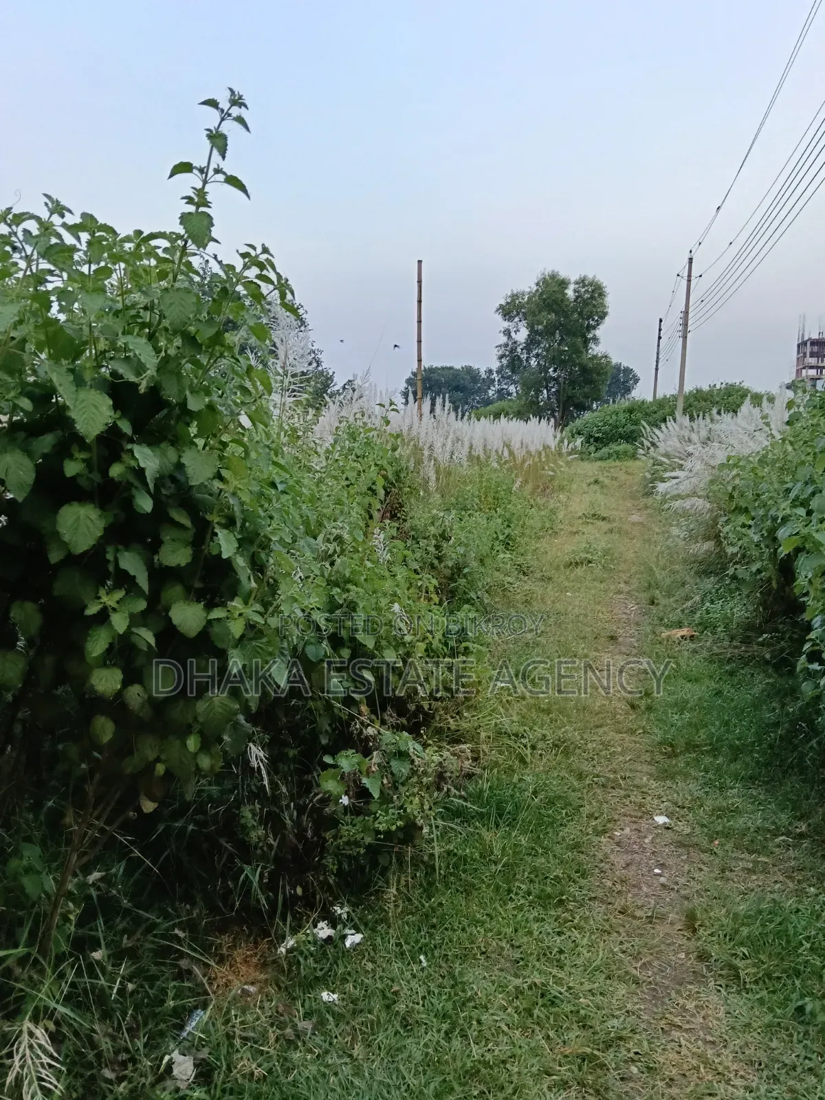 Block-P, North Face 5 Katha Plot Sale in Basundhara
