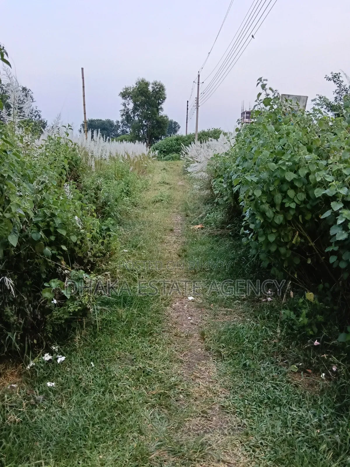 Block-P, 3 Katha Plot Sale in Basundhara