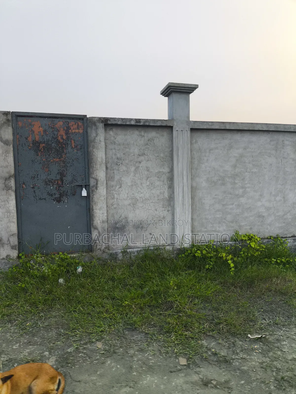 South Face Near Forest 10 Katha Plot Sale in Sector: 24, Purbachal in Purbachal