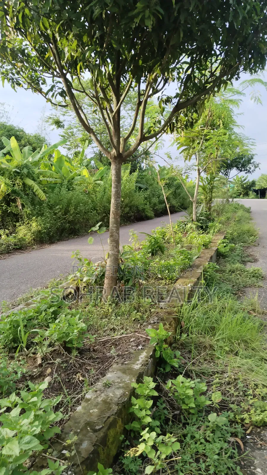 3 Katha North Facing Plot Purbachal, Sector # 27 in Purbachal