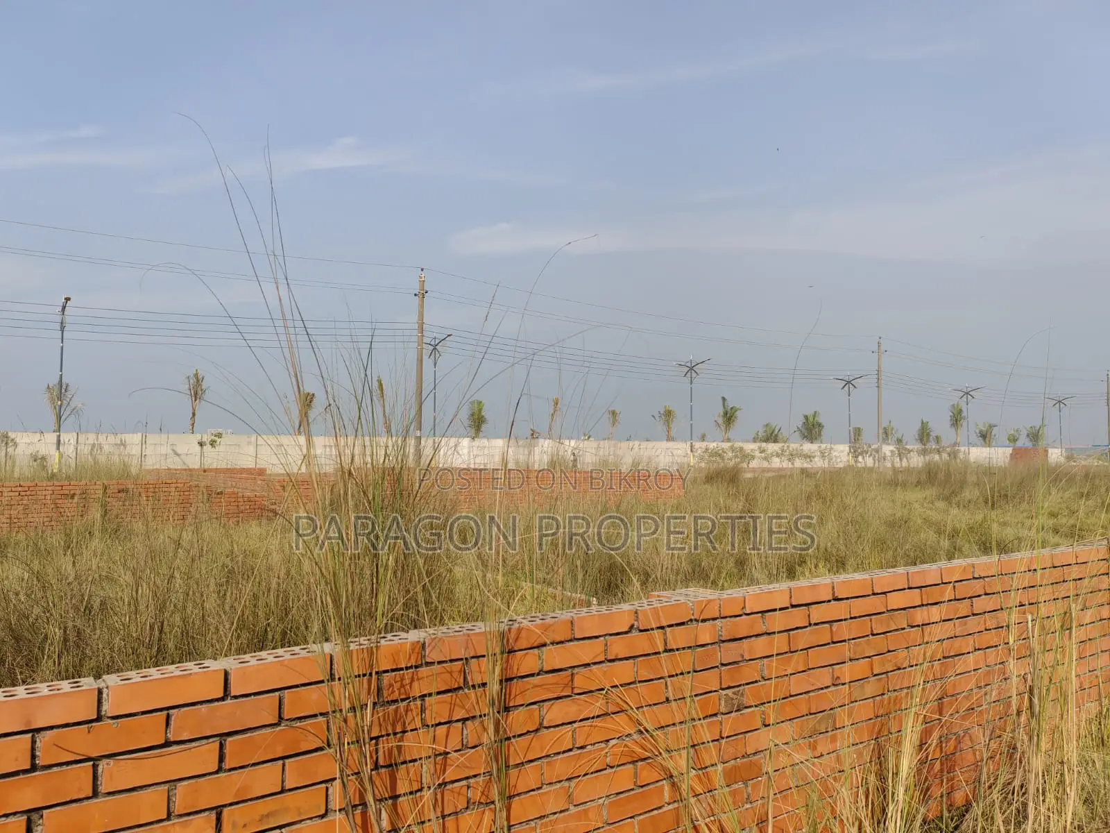 Land Want to Buy 5 Katha Plot in P Block - Direct Owner in Basundhara