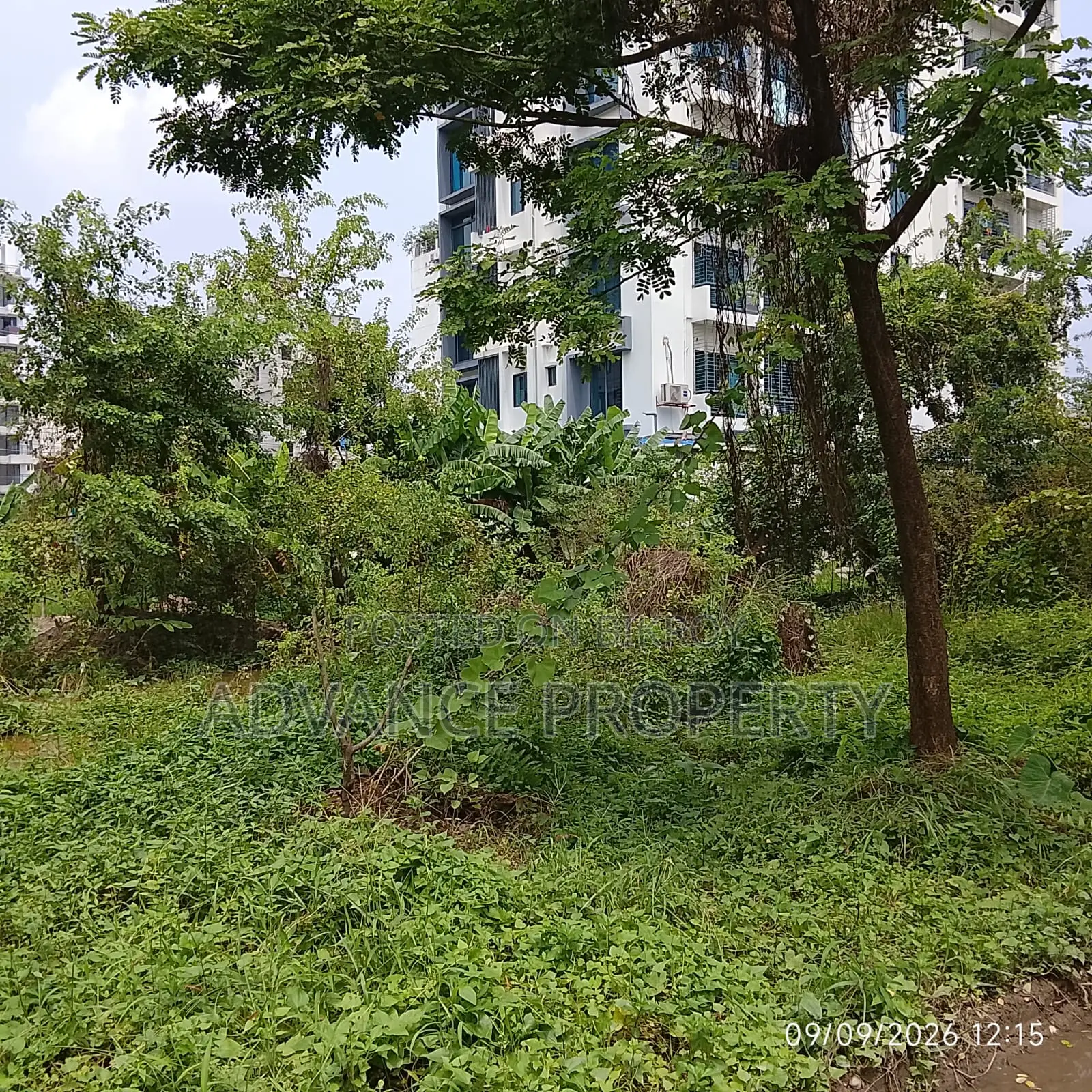 Plot for Sale at Block-L, South Facing in Basundhara