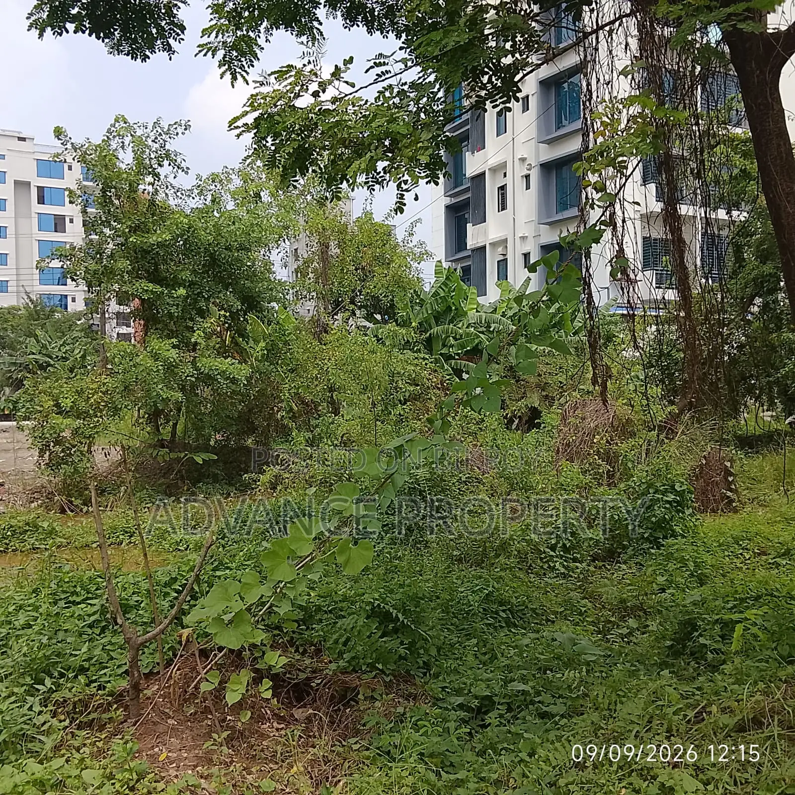 Plot for Sale at Block-L, South Facing in Basundhara