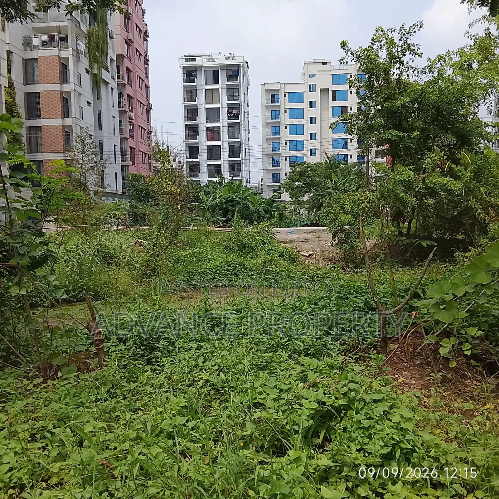 Plot for Sale at Block-L, South Facing in Basundhara