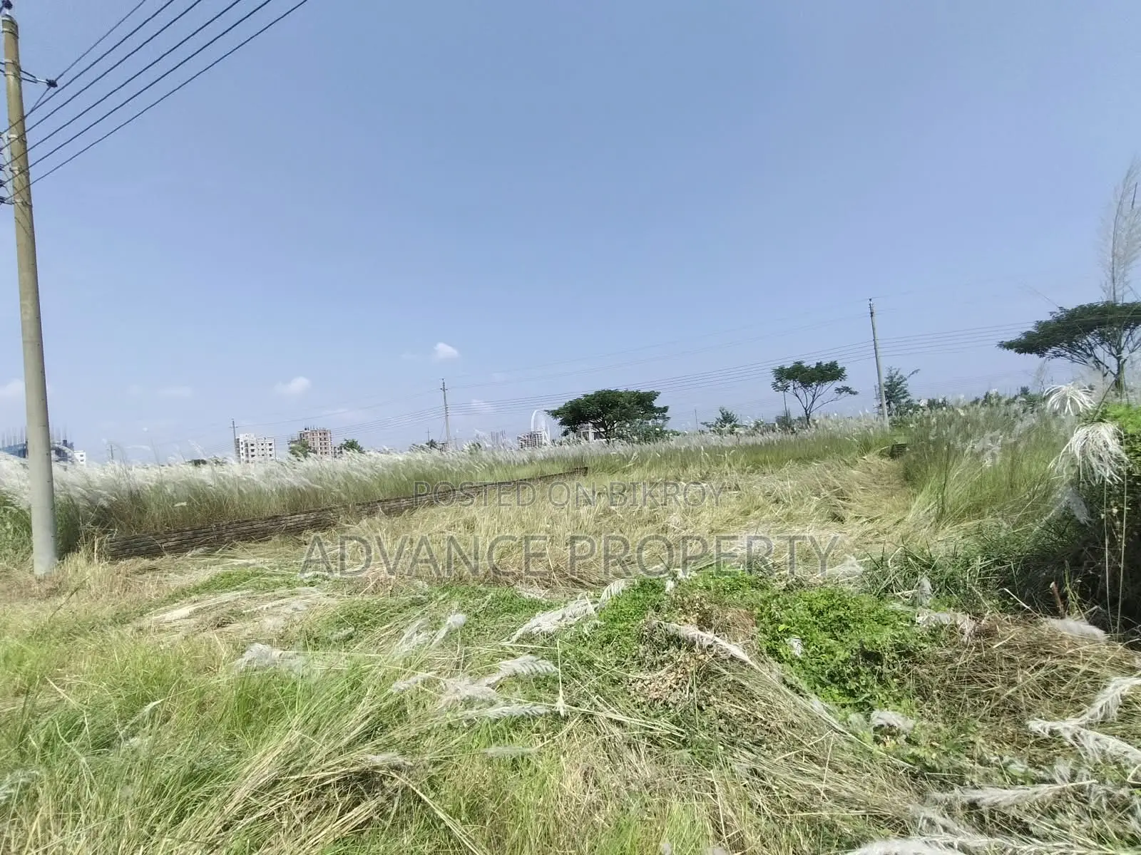 Plot for Sale at Block-N, South Facing in Basundhara
