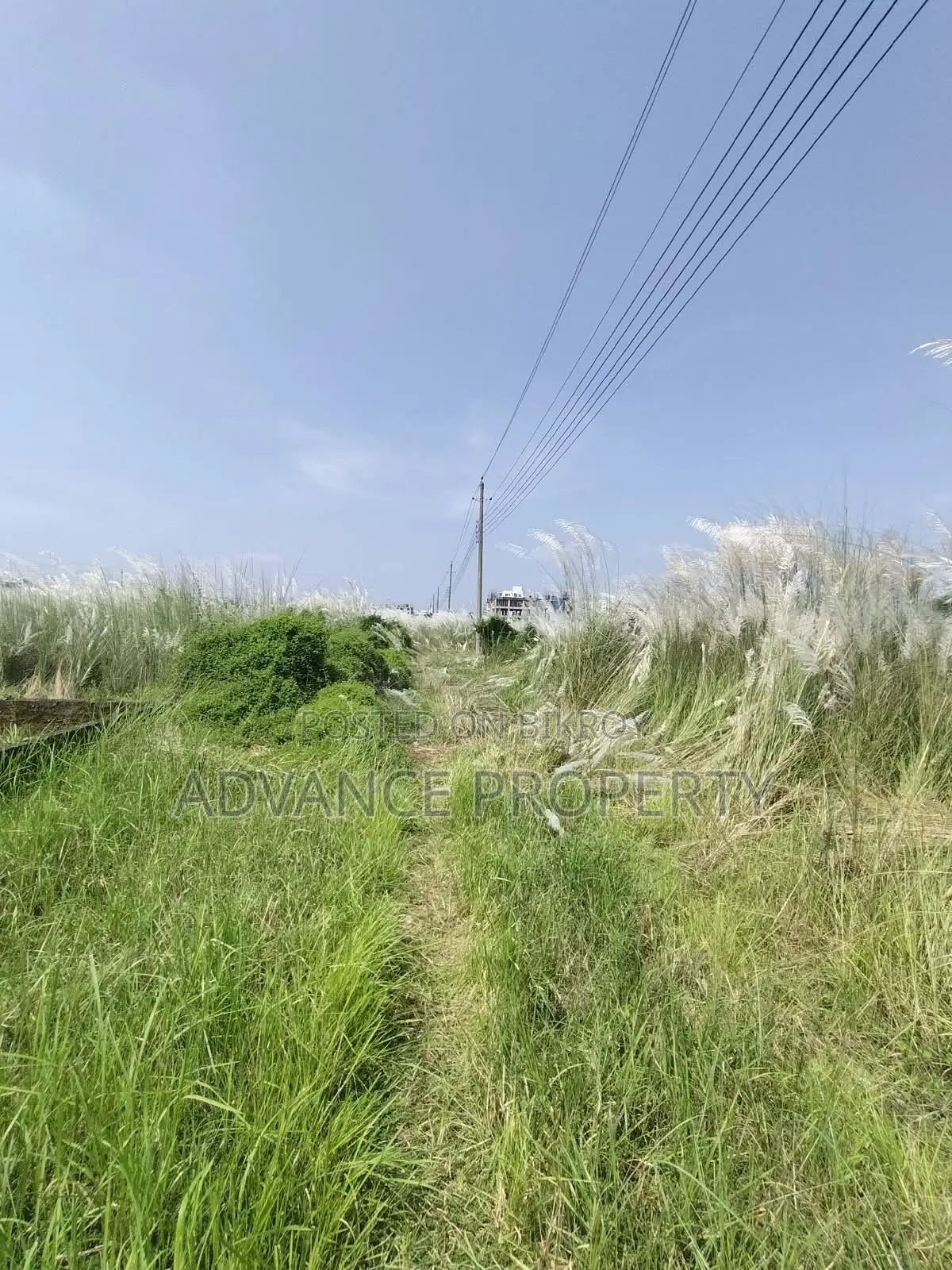 Plot for Sale at Block-N, South Facing in Basundhara
