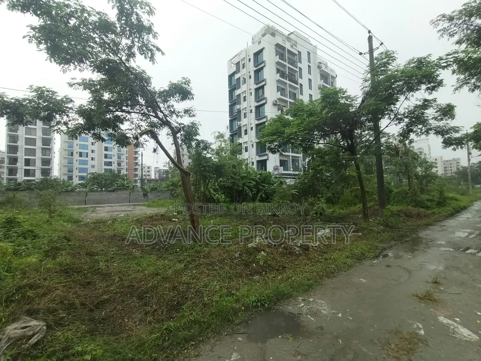 Plot for Sale at Block-L, South Facing in Basundhara