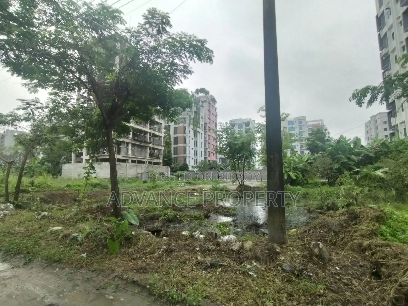 Plot for Sale at Block-L, South Facing in Basundhara