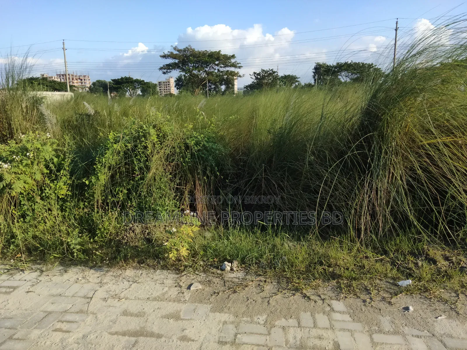 5 Katha Plot for Urgent Sale in Block N, Bashundhara Residential Area in Basundhara