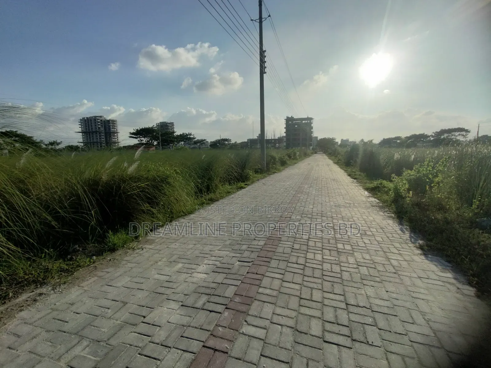 5 Katha Plot for Urgent Sale in Block N, Bashundhara Residential Area in Basundhara