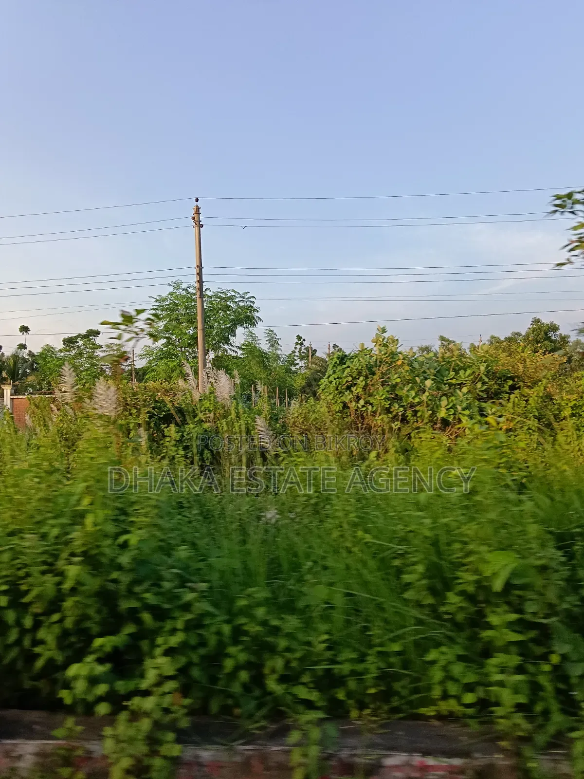 Sector 3, 3 Katha South Facing Plot with Open Field in the South in Uttara