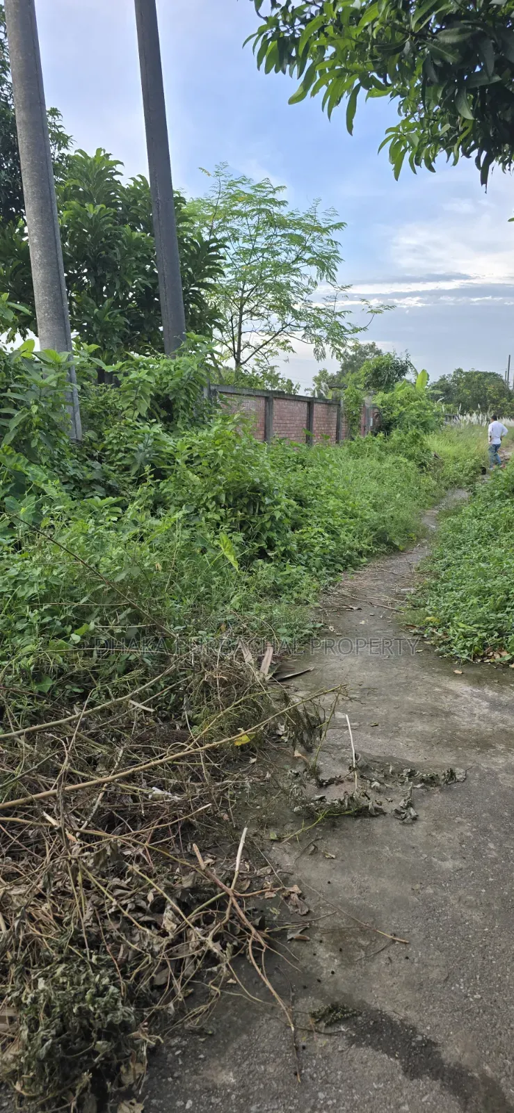 Rajuk Purbachal Sector -9, South Facing Plot Sell in Purbachal
