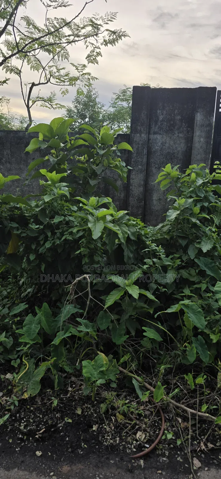 Rajuk Purbachal Sector -9, South Facing Plot Sell in Purbachal
