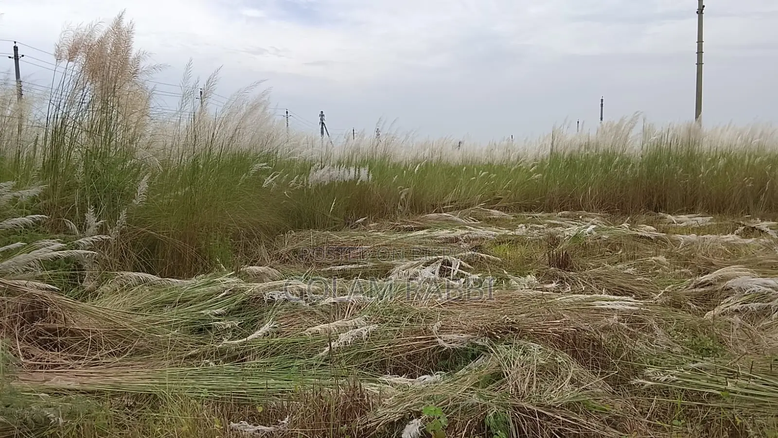 Land for Sale at Basundhara N 3 Katha in Basundhara