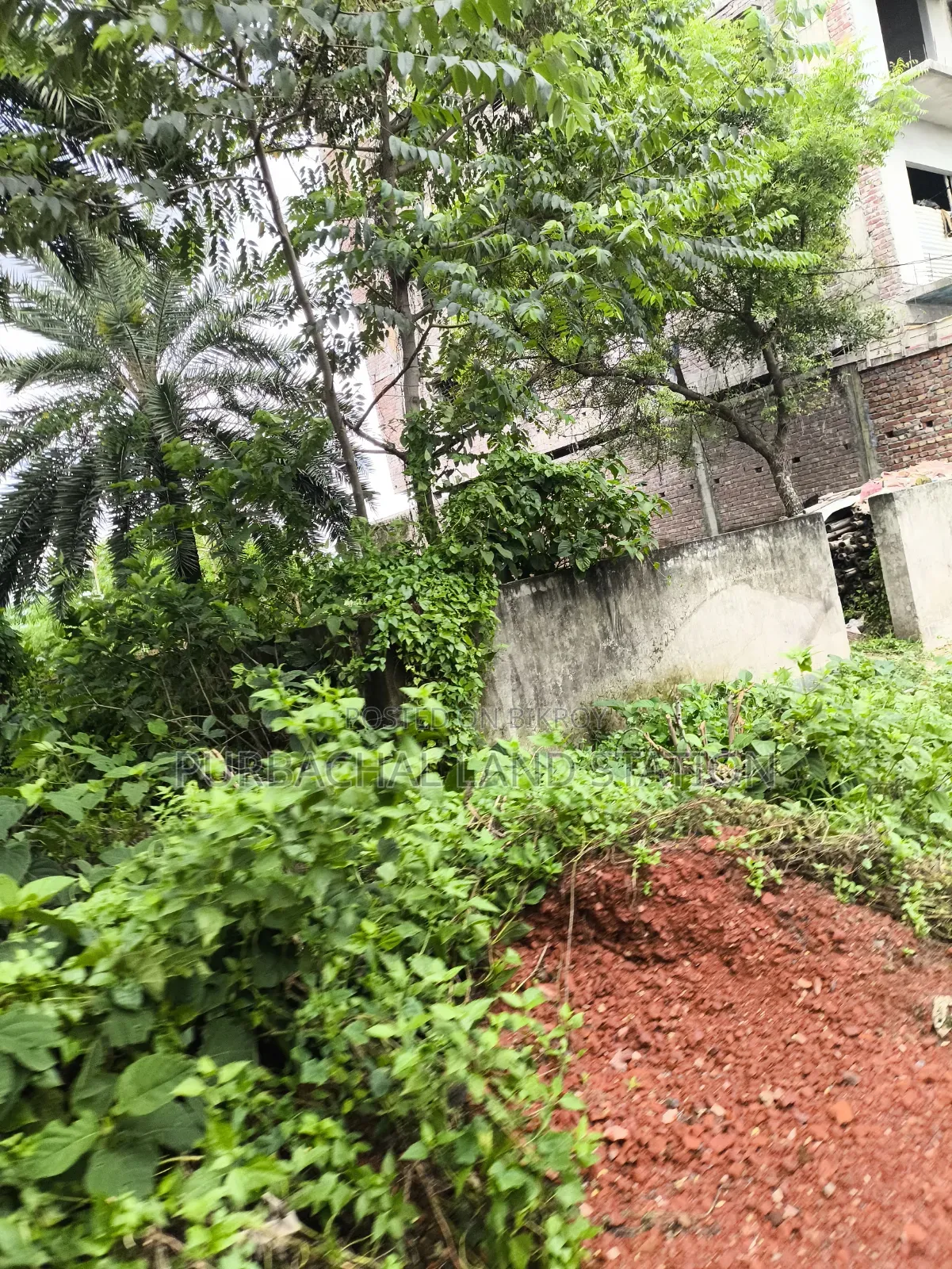 Sector: 15, Urgent South Face 3 Katha Plot Sale in Purbachal in Purbachal