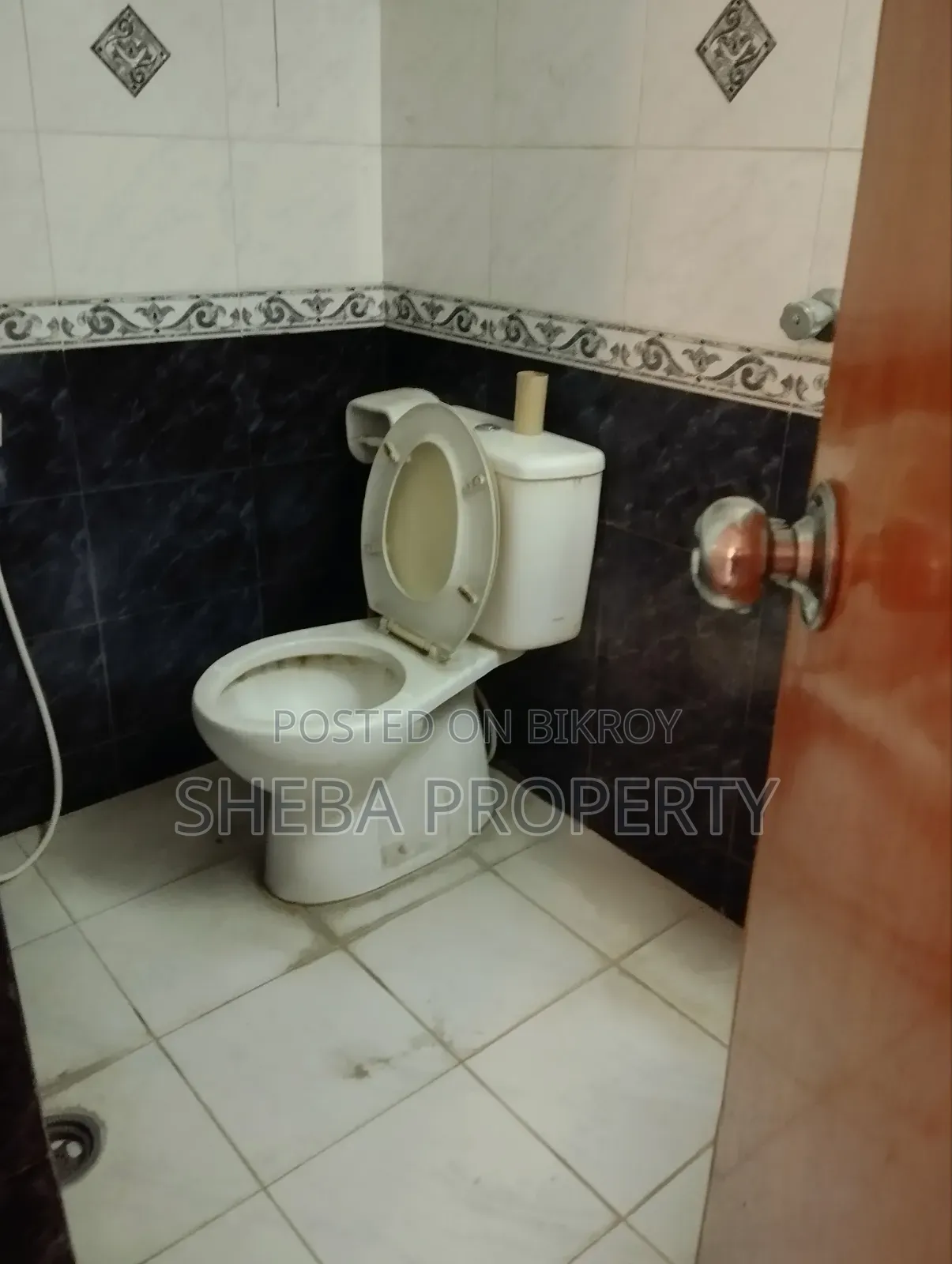 Furnished 3-bedroom Apartment in Gulshan for rent in Gulshan