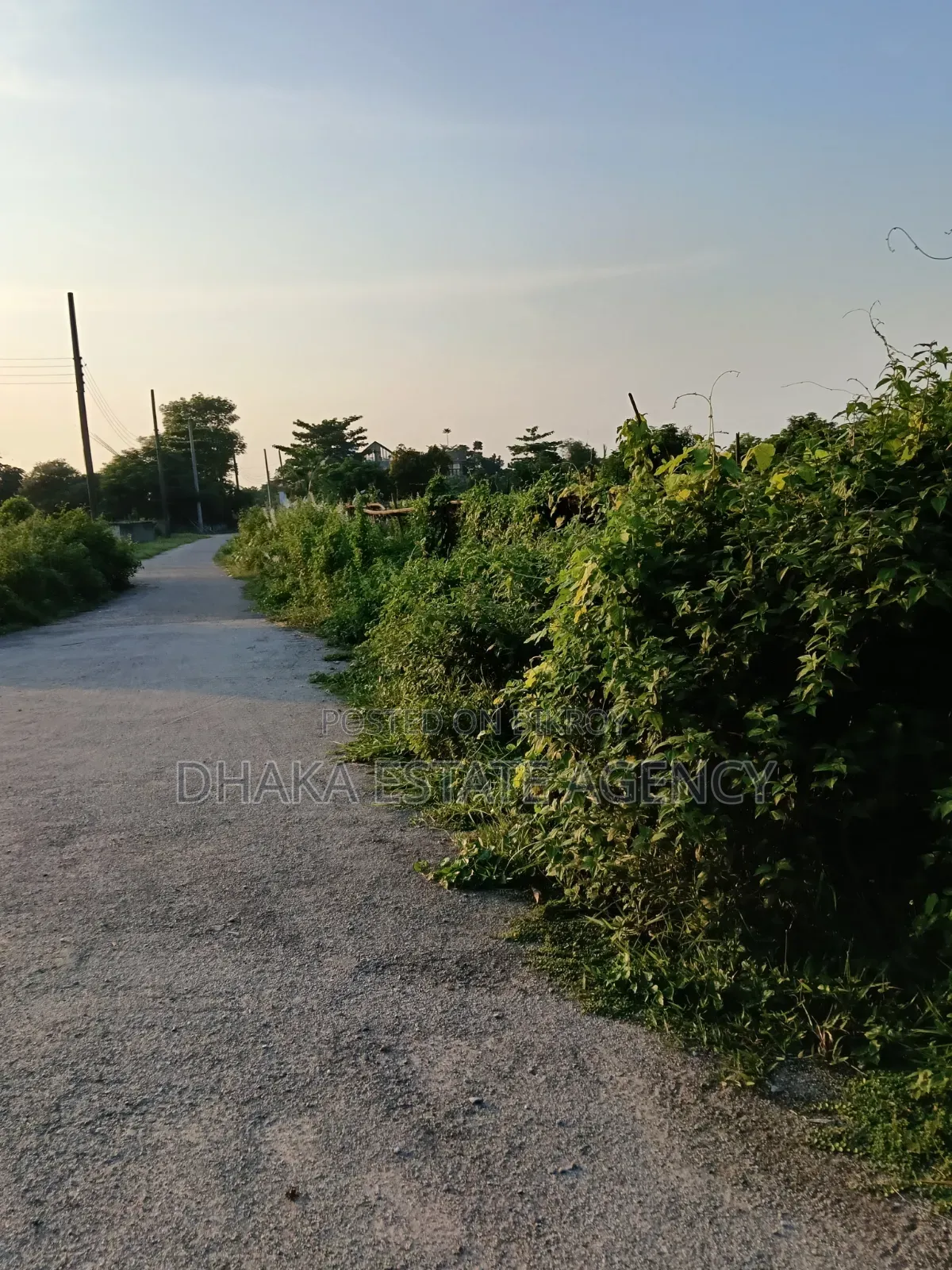Sector 17A, South Face 3 Katha Plot Sale in Uttara
